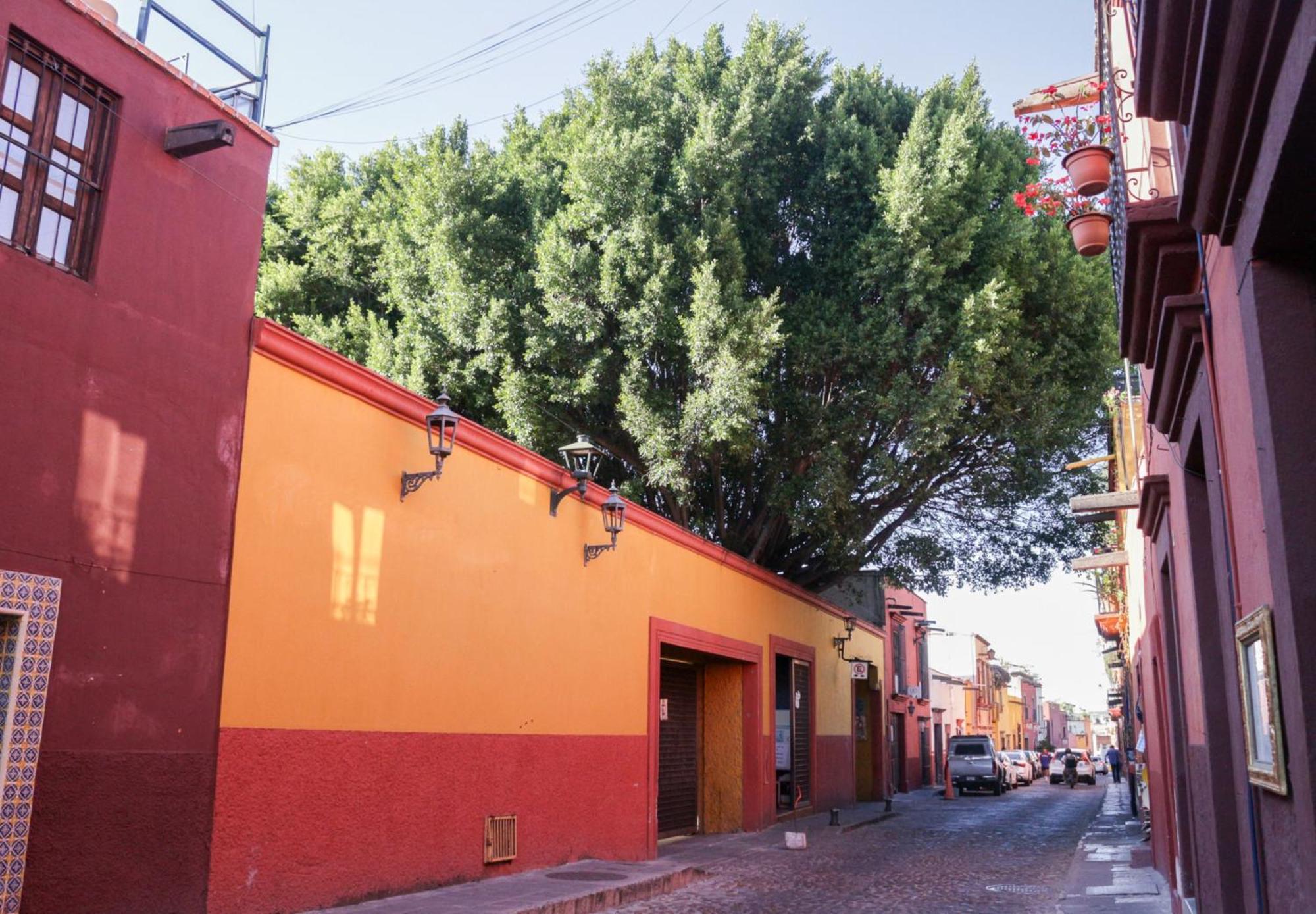 Casa Relox 43 Otel San Miguel de Allende Dış mekan fotoğraf